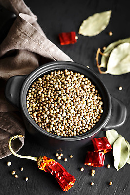 포토 JPG 해외이미지 식물 음식 백그라운드 재료 고추 건조 파슬리 요리 씨앗 사람없음 목재 초록색 빛 약 주방 검은색 중국 어둠 시골 신선 양념 조미료 사발 맛 상품 인도인 허브 묘사 유기농 매움 날것 향기 아로마 향료 향 월계수 해외202004 해외포토 외국인 나무 웰빙 아시아 컬러 컨셉 채소 의학 동양인 사기그릇 냄새 향미료 파일형식