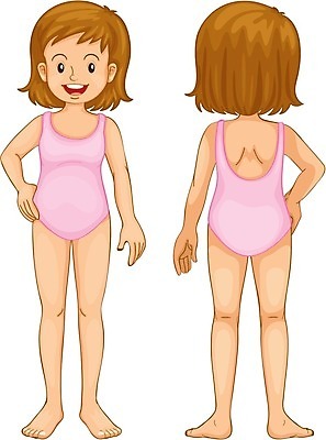 EPS 해외이미지 학생 손 여자 교육 수영복 길 어린이 클리핑패스 분홍색 과학 백그라운드 신체 일러스트 부분 해부 학교 발 서기 사람 흰색 속옷 만화 자르기 흰배경 생물학 팔 허벅지 빨간머리 고립 궤 양발 해외202004 해외일러스트 헤어스타일 옷 컬러 의학 모션 신체부위 파일형식 벡터