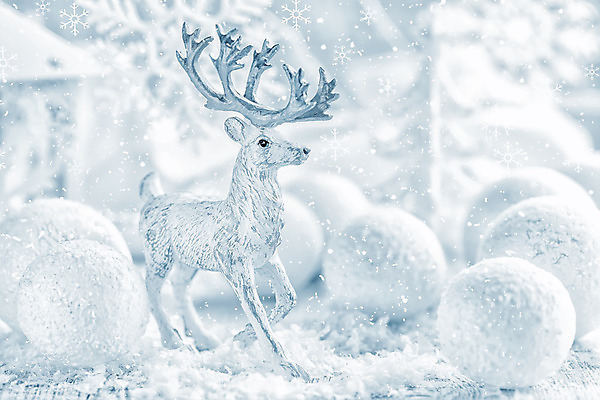 포토 JPG 해외이미지 계절 백그라운드 크리스마스 겨울 공 사슴 새로움 기념 매달리기 사람없음 장식 빛 반짝임 축제 장식볼 흰색 눈송이 우아함 은색 12월 해외202004 해외포토 기념일 컬러 컨셉 포유류 모션 눈_날씨 날짜 파일형식