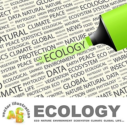 EPS 해외이미지 나무 식물 디자인 과학 백그라운드 컨셉 일러스트 비즈니스 텍스트 자연 통계 건강 사람없음 단어 스터디 글로벌 평화 환경 저축 뉴스 변화 보호 숲 허브 분석 에코 생태계 시스템 자원 리빙 내추럴 생태학 제어 효과 해외202004 해외일러스트 문자 교육 금융 학습 파일형식 벡터