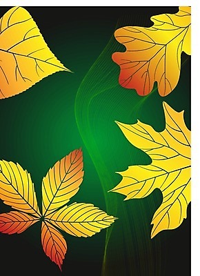 EPS 해외이미지 모양 식물 템플릿 디자인 계절 파도 백그라운드 잎 꽃무늬 패턴 곡선 오렌지 일러스트 자연 벽지 추상 창조 미술 그래픽 장식 빛 컬러풀 노란색 유행 세일 디지털 웹 젖음 에너지 덮개 가을 인사 뜨거움 신용카드 투명 발표 우아함 9월 질감 엽서 강렬 효과 해외202004 해외일러스트 꽃 선 바다 컬러 컨셉 무늬 인터넷 과일 문화예술 금융 뚜껑 예절 날짜 편지 생태계 파일형식 벡터