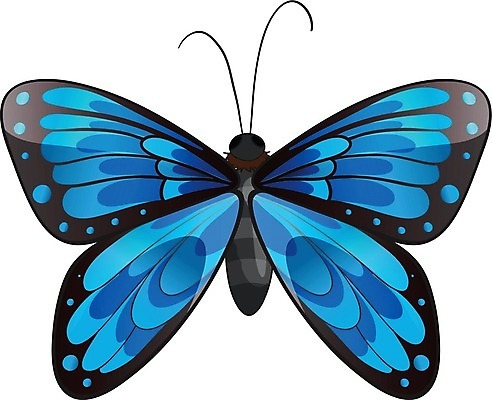EPS 해외이미지 클립아트 1 디자인 나비 곤충 백그라운드 곡선 날개 일러스트 생물 안테나 그래픽 파란색 머리 회색 흰색 작음 흉부 만화 그림 고립 혼자 복부 해외202004 해외일러스트 동물 선 컬러 통신 신체부위 호흡기관 크기 파일형식 벡터