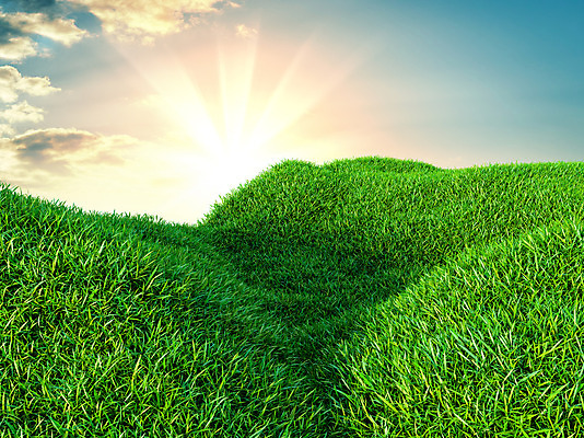 포토 JPG 해외이미지 식물 하늘 날씨 풍경 잔디 초원 사람없음 야외 초록색 맑음 봄 전원 해외202004 해외포토 계절 컬러 전기에너지 파일형식