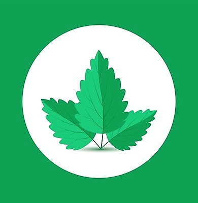 EPS 해외이미지 모양 식물 디자인 배너 음식 백그라운드 컨셉 잎 일러스트 자연 건강 요리 미술 그래픽 초록색 빛 세트 약 주방 봄 신선 칵테일 양념 플랫 차 상품 먹기 민트 허브 심볼 오브젝트 에코 향기 아로마 내추럴 고립 생태학 엘리먼트 해외202004 스피아민트 해외일러스트 계절 교육 음료 컬러 의학 모션 문화예술 주류 환경 생태계 냄새 파일형식 벡터