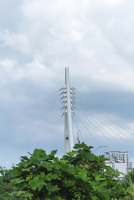 포토 JPG 주간 나무 구름 하늘 풍경 사람없음 야외 여름 맑음 여름풍경 힐링 가교 국내포토 자연요소 식물 건축물 계절 날씨 파일형식 여름_계절