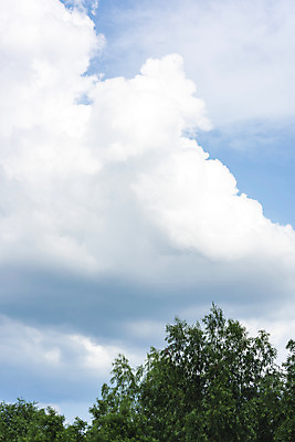 포토 JPG 주간 나무 구름 하늘 풍경 사람없음 야외 여름 맑음 여름풍경 힐링 국내포토 자연요소 식물 계절 날씨 파일형식 여름_계절