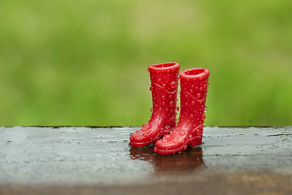 포토 JPG 주간 장화 풍경 근접촬영 사람없음 야외 아웃포커스 여름 맑음 여름풍경 미니어처 비 빗방울 힐링 장마 국내포토 자연요소 계절 뷰포인트 신발 날씨 촬영기법 모형 비_날씨 파일형식 여름_계절