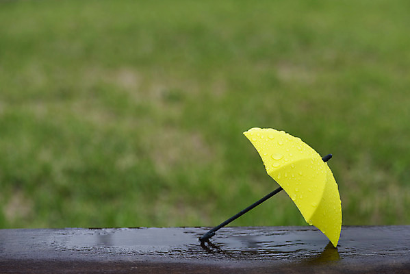 포토 JPG 주간 우산 풍경 근접촬영 사람없음 야외 아웃포커스 여름 맑음 여름풍경 미니어처 비 빗방울 힐링 장마 국내포토 자연요소 계절 뷰포인트 날씨 촬영기법 모형 비_날씨 파일형식 여름_계절