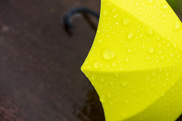 포토 JPG 주간 우산 풍경 근접촬영 사람없음 야외 아웃포커스 여름 맑음 여름풍경 미니어처 비 빗방울 힐링 장마 국내포토 자연요소 계절 뷰포인트 날씨 촬영기법 모형 비_날씨 파일형식 여름_계절