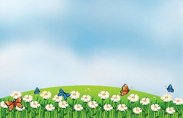 EPS 해외이미지 꽃 나비 일러스트 풍경 사람없음 정원 해외202004 해외일러스트 식물 곤충 파일형식 벡터