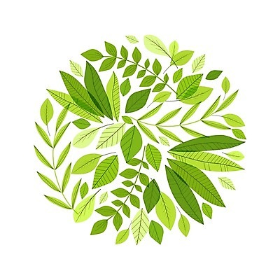 EPS 해외이미지 식물 템플릿 디자인 백그라운드 컨셉 잎 꽃무늬 일러스트 자연 휴가 프레임 야외 그래픽 장식 초록색 환경 페인트 봄 수확 나뭇가지 축하 붓 원형 신용카드 화려 우아함 숲 묘사 그림 에코 문서 복고 초대 내추럴 고립 생태학 엘리먼트 월계수 증명서 해외202004 해외일러스트 도형 나무 계절 교육 꽃 컬러 무늬 농업 금융 생태계 파일형식 벡터