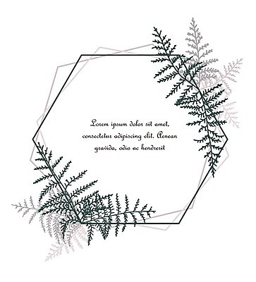 EPS 해외이미지 식물 꽃 포스터 줄기 백그라운드 잎 일러스트 프레임 사람없음 낭만 허브 꽃프레임 양치류 프레임일러스트 국경 해외202004 해외일러스트 컨셉 파일형식 벡터