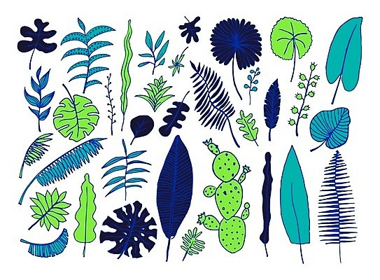 EPS 해외이미지 모양 식물 디자인 꽃 실루엣 백그라운드 잎 꽃무늬 일러스트 그래픽 장식 세트 오브젝트 그림 손그림 엘리먼트 해외202004 해외일러스트 무늬 촬영기법 파일형식 벡터