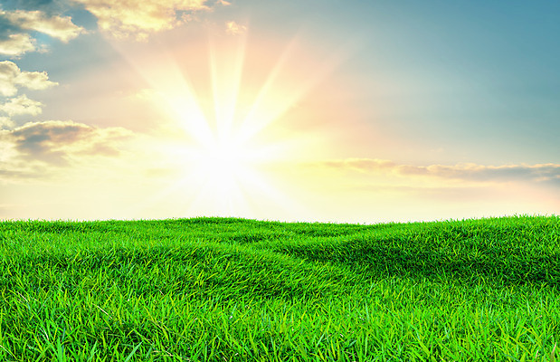 포토 JPG 해외이미지 식물 하늘 날씨 풍경 잔디 초원 사람없음 야외 초록색 맑음 봄 전원 해외202004 해외포토 계절 컬러 전기에너지 파일형식