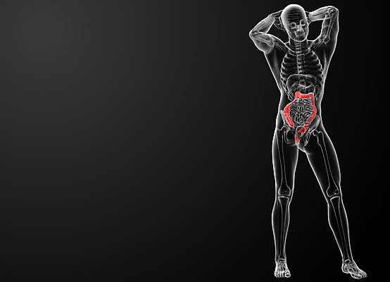 포토 JPG 해외이미지 과학 신체 해부 건강 사람 사람없음 내부 약 고통 하트 오르간 신장 생물학 간 암 방광 췌장 염증 지라 복부 해외202004 해외포토 모양 교육 감정 의학 신체부위 장기_의학 건반악기 비뇨기관 질병 파일형식