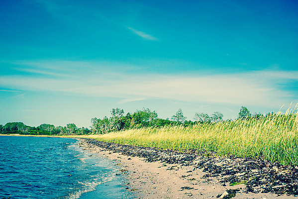 포토 JPG 해외이미지 유럽 모래 바다 여행 밭 자연 조류 하늘 휴가 덴마크 스웨덴 풍경 사람없음 야외 초록색 물 여름 파란색 모래사장 햇빛 맑음 전원 만 북쪽 내추럴 스칸디나비아 수평선 해외202004 해외포토 자연요소 동물 계절 나라 컬러 농업 날씨 북유럽 태양 전기에너지 방향 생태계 파일형식