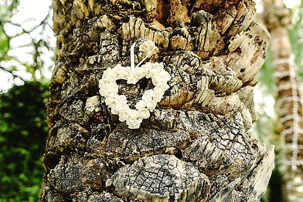 포토 JPG 해외이미지 나무 식물 디자인 계절 꽃 실루엣 분홍색 결혼 백그라운드 잎 꽃무늬 패턴 일러스트 자연 벽지 조류 추상 휴가 프레임 발렌타인데이 사랑 미술 사람없음 그래픽 장식 빨간색 초록색 정원 봄 낭만 수확 벚꽃 흰색 나뭇가지 하트 축하 신용카드 만화 심볼 복고 엘리먼트 해외202004 해외포토 모양 동물 감정 컬러 컨셉 무늬 농업 데이이벤트 문화예술 촬영기법 이벤트 금융 생태계 파일형식