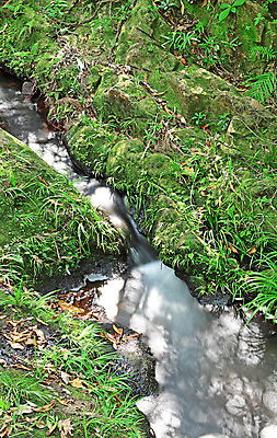 포토 JPG 해외이미지 나무 여행 백그라운드 자연 벽지 산 풍경 사람없음 야외 물 여름 강 햇빛 여행객 평화 맑음 폭포 젖음 흐름 자유 바위 개울 떨어짐 정상 숲 위험 고도 오르막 무료 해외202004 해외포토 자연요소 식물 계절 컨셉 날씨 사람 태양 돌_바위 생태계 파일형식