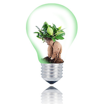 포토 JPG 해외이미지 나무 음식 컨셉 과일 아이디어 사람없음 초록색 빛 에너지 흰배경 친환경 유기농 분재 고립 생태학 해외202004 해외포토 식물 웰빙 교육 컬러 백그라운드 환경 흰색 파일형식