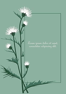 EPS 해외이미지 식물 템플릿 디자인 꽃 실루엣 꽃다발 결혼 백그라운드 잎 꽃무늬 패턴 일러스트 자연 프레임 초원 그래픽 장식 여름 정원 봄 낭만 벚꽃 나뭇가지 축하 인사 신용카드 화려 허브 심볼 그림 초대 엉겅퀴 내추럴 고립 구성 빅토리아 스코틀랜드 국경 해외202004 해외일러스트 나무 계절 컨셉 무늬 영국 촬영기법 이벤트 금융 예절 생태계 파일형식 벡터