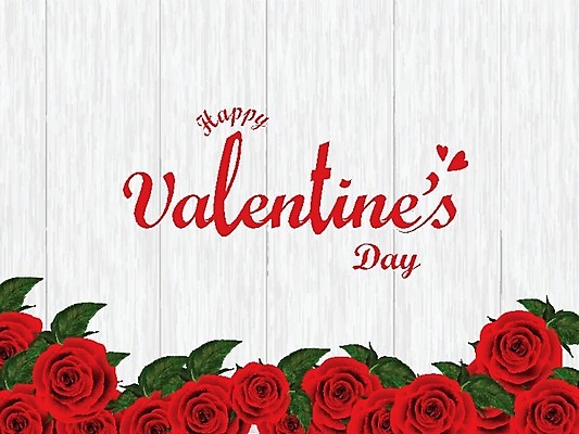 EPS 해외이미지 기념일 일러스트 발렌타인데이 사랑 사람없음 빨간색 장미 축하 해외202004 해외일러스트 꽃 감정 컬러 컨셉 데이이벤트 이벤트 파일형식 벡터