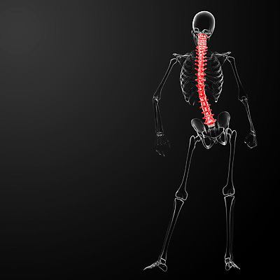 포토 JPG 해외이미지 실루엣 포즈 일러스트 뼈 골격 엑스레이 건강 사람없음 파란색 3D 척추 몸통 염증 요통 해외202004 해외포토 컬러 의학 촬영기법 신체부위 질병 디지털합성 허리통증 파일형식