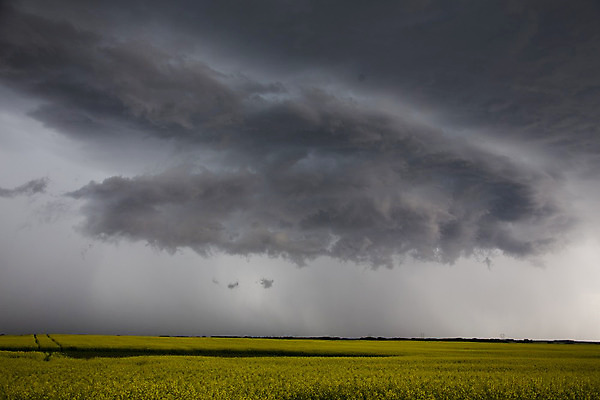 포토 JPG 해외이미지 구름 자연 하늘 날씨 풍경 초원 사람없음 야외 여름 농장 어둠 위험 폭풍 내추럴 뇌우 폭풍우 해외202004 해외포토 자연요소 계절 컨셉 농업 비_날씨 자연재해 생태계 파일형식