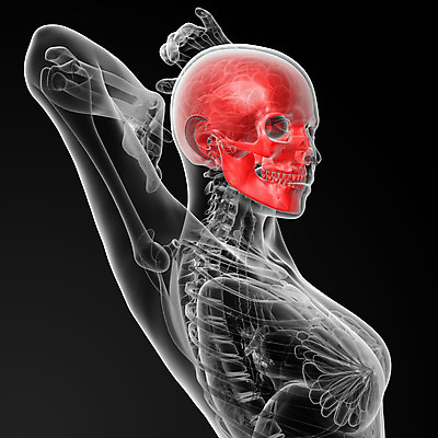 포토 JPG 해외이미지 모양 모델 교육 과학 백그라운드 신체 부분 해부 추상 뼈 골격 건강 미술 사람 사람없음 약 머리 3D 검은색 흰색 죽음 치아 심볼 오브젝트 사인 생물학 턱 고립 옛날 해골모형 해외202004 해외포토 컬러 무늬 의학 문화예술 신체부위 모형 소화기관 디지털합성 파일형식