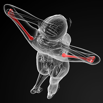 포토 JPG 해외이미지 남자 과학 일러스트 부분 뼈 골격 엑스레이 건강 사람 사람없음 빨간색 파란색 3D 검은색 팔 해외202004 해외포토 컬러 의학 신체부위 디지털합성 파일형식