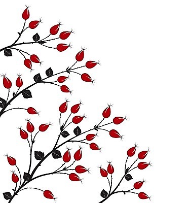 EPS 해외이미지 식물 디자인 계절 열매 꽃 실루엣 음식 백그라운드 잎 꽃무늬 과일 일러스트 자연 건강 미술 빨간색 초록색 여름 약 장미 정원 가을 흰색 나뭇가지 신선 개 차 달콤 엉덩이 허브 그림 에코 유기농 윤곽 내추럴 고립 엘리먼트 비건 해외202004 해외일러스트 나무 웰빙 음료 컬러 무늬 포유류 의학 문화예술 촬영기법 신체부위 환경 맛 생태계 채식주의자 파일형식 벡터