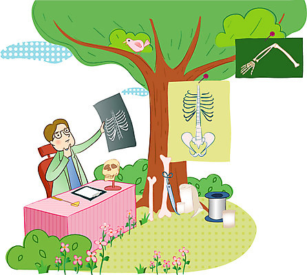 EPS 주간 나무 남자 꽃 일러스트 의학 인체모형 조류 엑스레이 한명 사람 20대 성인 야외 치료 의사 반창고 질병 책상 뼈모형 서류판 타진기 남자만 남자한명만 성인남자만 청년만 청년남자만 청년남자한명만 성인한명만 성인남자한명만 성인만 국내일러스트 자연요소 식물 동물 1 가구 청년 모형 사무용품 의료진 의료용품 파일형식 벡터