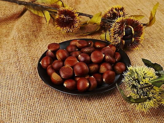 포토 JPG 식물 그릇 접시 음식 식재료 나뭇잎 실내 사람없음 견과류 가을 밤 밤송이 추석음식 명절음식 국내포토 식기 계절 잎 내부 전통음식 밤_견과류 파일형식