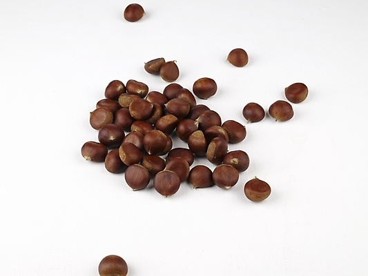 포토 JPG 스튜디오촬영 식물 음식 식재료 사람없음 견과류 가을 밤 추석음식 명절음식 국내포토 계절 실내 전통음식 파일형식