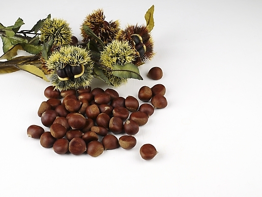 포토 JPG 스튜디오촬영 식물 계절 명절 음식 식재료 나뭇잎 한국 사람없음 추석 견과류 가을 나뭇가지 밤 밤송이 국내포토 나무 전통 기념일 아시아 잎 실내 밤_견과류 파일형식