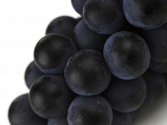 포토 JPG 스튜디오촬영 식물 음식 백그라운드 한송이 과일 포도 디저트 근접촬영 사람없음 하이앵글 보라색 가을 추석음식 명절음식 국내포토 1 계절 뷰포인트 컬러 실내 전통음식 송이 파일형식