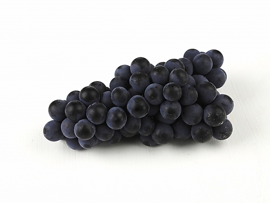 포토 JPG 스튜디오촬영 식물 음식 한송이 과일 포도 디저트 누끼 사람없음 하이앵글 보라색 가을 추석음식 명절음식 국내포토 1 계절 뷰포인트 컬러 실내 전통음식 송이 파일형식