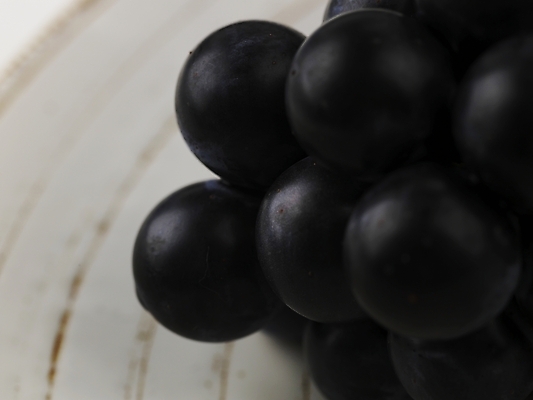 포토 JPG 스튜디오촬영 식물 그릇 접시 음식 백그라운드 한송이 과일 포도 디저트 근접촬영 사람없음 하이앵글 보라색 가을 추석음식 명절음식 국내포토 1 식기 계절 뷰포인트 컬러 실내 전통음식 송이 파일형식