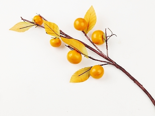 포토 JPG 스튜디오촬영 식물 음식 과일 식재료 나뭇잎 감 누끼 사람없음 가을 나뭇가지 추석음식 명절음식 국내포토 나무 계절 잎 실내 전통음식 파일형식