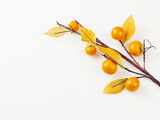 포토 JPG 스튜디오촬영 식물 음식 과일 식재료 나뭇잎 감 누끼 사람없음 가을 나뭇가지 추석음식 명절음식 국내포토 나무 계절 잎 실내 전통음식 파일형식