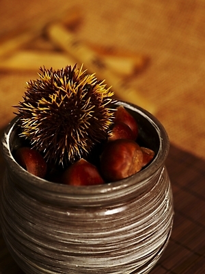 포토 JPG 식물 그릇 음식 식재료 실내 사람없음 견과류 가을 밤 밤송이 추석음식 명절음식 국내포토 식기 계절 내부 전통음식 밤_견과류 파일형식