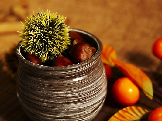 포토 JPG 식물 그릇 음식 단풍 식재료 나뭇잎 실내 사람없음 견과류 가을 밤 밤송이 추석음식 명절음식 국내포토 식기 계절 잎 내부 전통음식 밤_견과류 파일형식