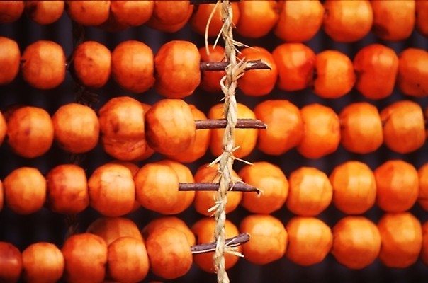 포토 JPG 식물 음식 과일 감 사람없음 농작물 가을풍경 가을 국내포토 계절 농업 풍경 파일형식 가을_계절