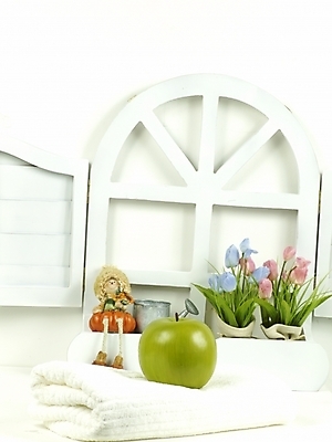 포토 JPG 스튜디오촬영 식물 꽃 화분 음식 인형 과일 창문 사람없음 농작물 인테리어 수건 물뿌리개 사과 국내포토 디자인 농업 실내 위생용품 파일형식