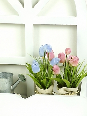 포토 JPG 스튜디오촬영 식물 꽃 화분 창문 사람없음 인테리어 꽃병 물뿌리개 꽃꽂이 국내포토 디자인 실내 원예 파일형식