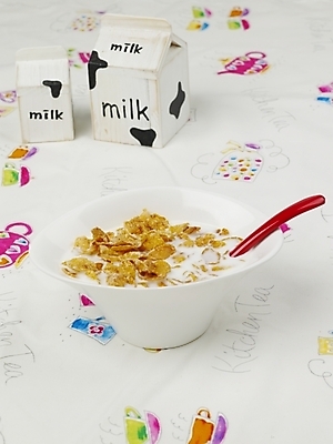 포토 JPG 음식 디저트 실내 사람없음 우유 아침식사 시리얼 흰우유 국내포토 유제품 내부 식사 파일형식