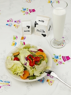 포토 JPG 그릇 접시 음식 포크 채소 잔 서양음식 실내 사람없음 장식 샐러드 우유 국내포토 식기 유제품 내부 파일형식