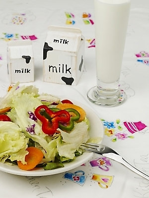 포토 JPG 그릇 접시 음식 포크 채소 잔 서양음식 실내 사람없음 장식 샐러드 우유 국내포토 식기 유제품 내부 파일형식