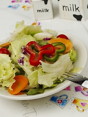 포토 JPG 그릇 접시 음식 포크 채소 잔 서양음식 실내 사람없음 장식 샐러드 우유 국내포토 식기 유제품 내부 파일형식