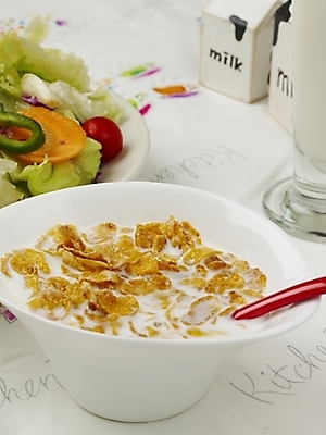 포토 JPG 음식 디저트 잔 실내 사람없음 장식 숟가락 샐러드 우유 시리얼 콘프레이크 국내포토 식기 유제품 수저 내부 파일형식