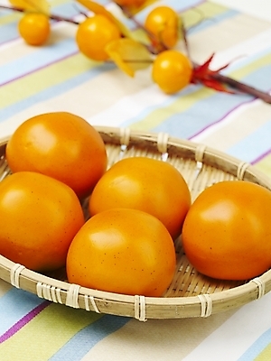 포토 JPG 식물 열매 음식 백그라운드 과일 디저트 실내 감 근접촬영 사람없음 농작물 하이앵글 주황색 여러개 과일바구니 단감 국내포토 뷰포인트 컬러 다수 농업 내부 바구니 파일형식